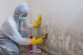 Mold Odor Removal Services in Lamar, MO